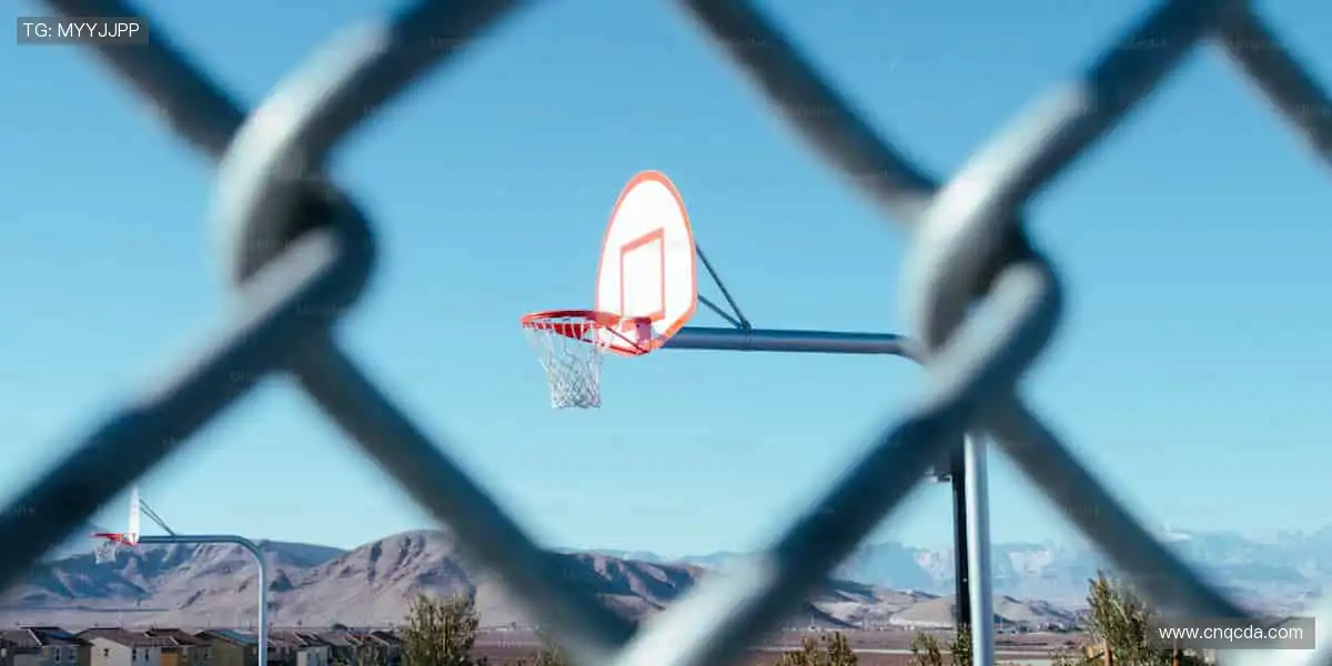 📺 一键直击，赛事瞬间零时差！